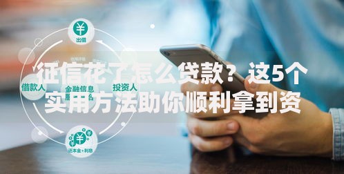 征信花了怎么贷款？这5个实用方法助你顺利拿到资金
