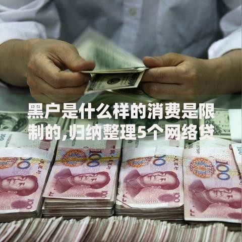 黑户是什么样的消费是限制的,归纳整理5个网络贷款平台