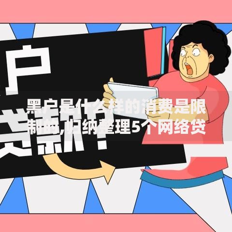 黑户是什么样的消费是限制的,归纳整理5个网络贷款平台