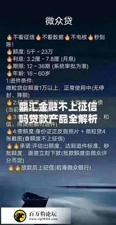 鼎汇金融不上征信吗贷款产品全解析