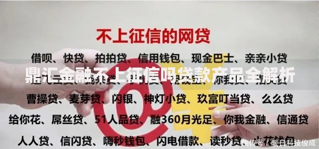 鼎汇金融不上征信吗贷款产品全解析