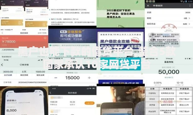 黑户也能下款的借贷平台,整合5款国家承认10家网贷平台