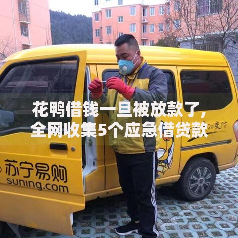 花鸭借钱一旦被放款了,全网收集5个应急借贷款500秒下平台