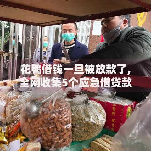 花鸭借钱一旦被放款了,全网收集5个应急借贷款500秒下平台