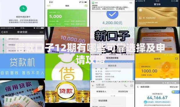 借款口子12期有哪些可靠选择及申请攻略