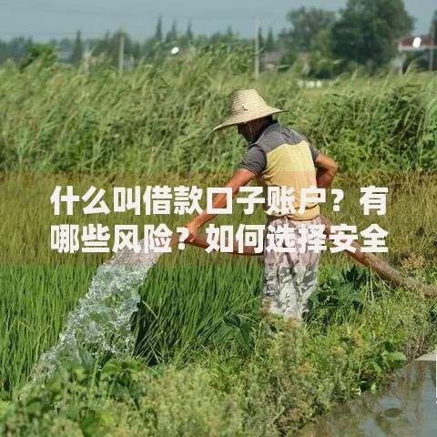 什么叫借款口子账户？有哪些风险？如何选择安全平台？