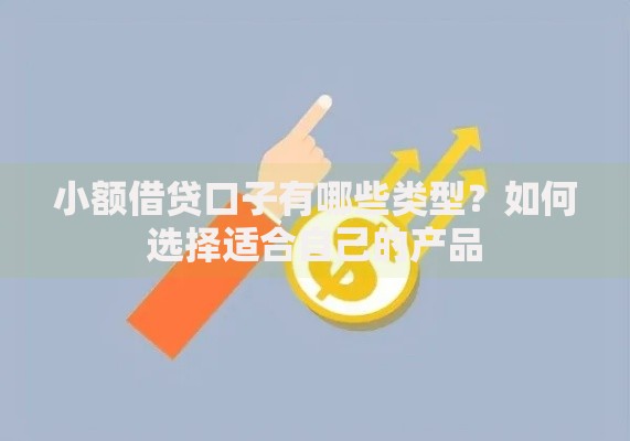 小额借贷口子有哪些类型？如何选择适合自己的产品
