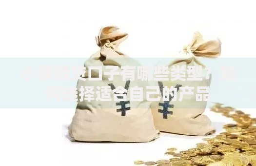 小额借贷口子有哪些类型？如何选择适合自己的产品