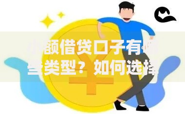 小额借贷口子有哪些类型？如何选择适合自己的产品
