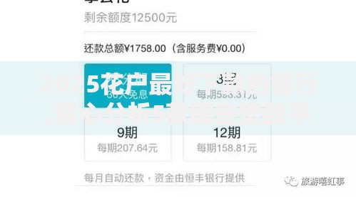 2025花户最好下款的银行,精心分析5款哪些贷款平台容易下款