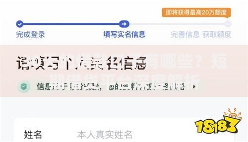 30天的借款口子有哪些？短期借贷平台深度解析