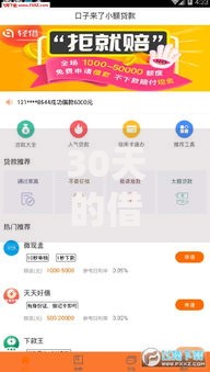 30天的借款口子有哪些？短期借贷平台深度解析