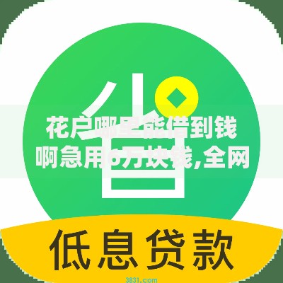 花户哪里能借到钱啊急用6万块钱,全网收集5个高利息易通过的贷款平台呢