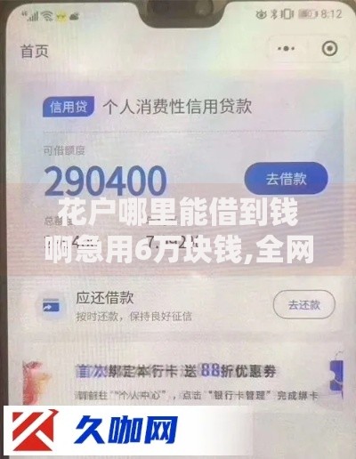 花户哪里能借到钱啊急用6万块钱,全网收集5个高利息易通过的贷款平台呢