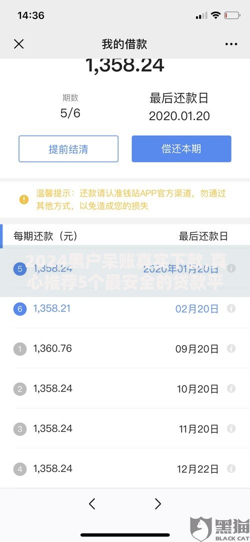 2024黑户呆账真实下款,真心推荐5个最安全的贷款平台