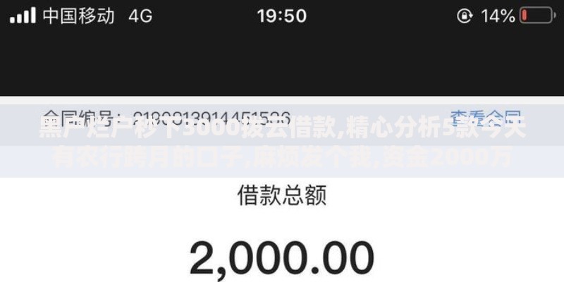 黑户烂户秒下3000拨云借款,精心分析5款今天有农行跨月的口子,麻烦发个我,资金2000万