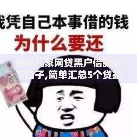 分享几家网贷黑户借款必下口子,简单汇总5个贷款平台排行榜