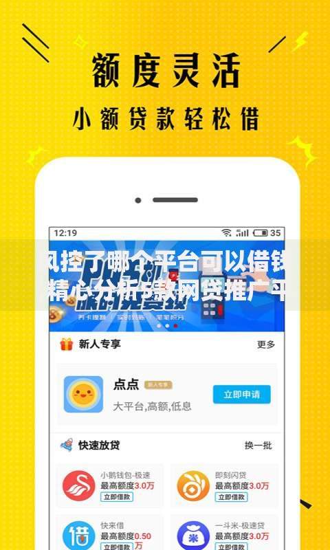 风控了哪个平台可以借钱,精心分析5款网贷推广平台