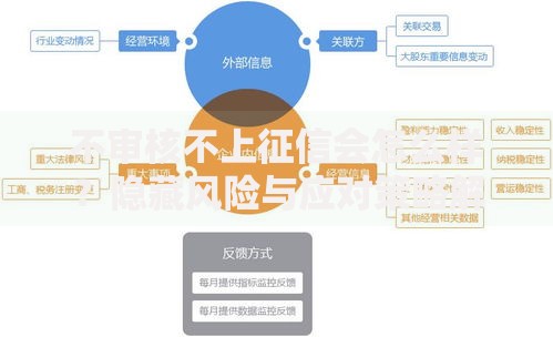 不审核不上征信会怎么样？隐藏风险与应对策略解析