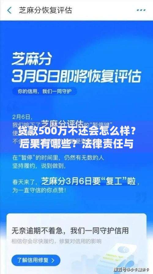 贷款500万不还会怎么样?后果有哪些?法律责任与应对策略解析 贷款500万不还会怎么样?后果有哪些?法律责任与应对策略解析