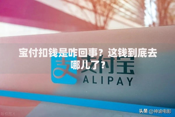 宝付扣钱是咋回事？这钱到底去哪儿了？