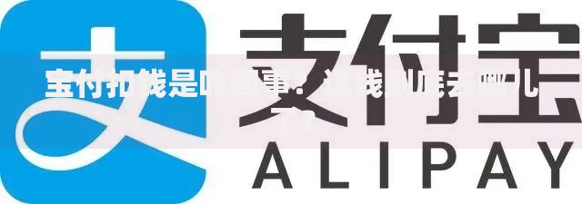宝付扣钱是咋回事？这钱到底去哪儿了？