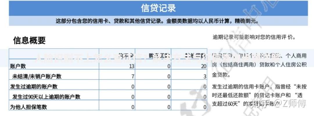 人脸识别不上怎么查征信?解决方法与征信查询步骤详解 人脸识别不上怎么查征信?解决方法与征信查询步骤详解