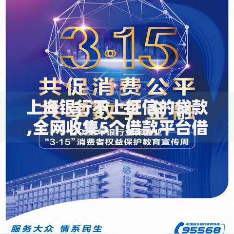 上海银行不上征信的贷款,全网收集5个借款平台借钱好