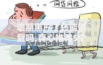 逾期黑户了还能恢复吗,真心推荐5个平台贷款安全