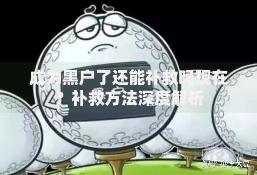 成为黑户了还能补救吗现在？补救方法深度解析
