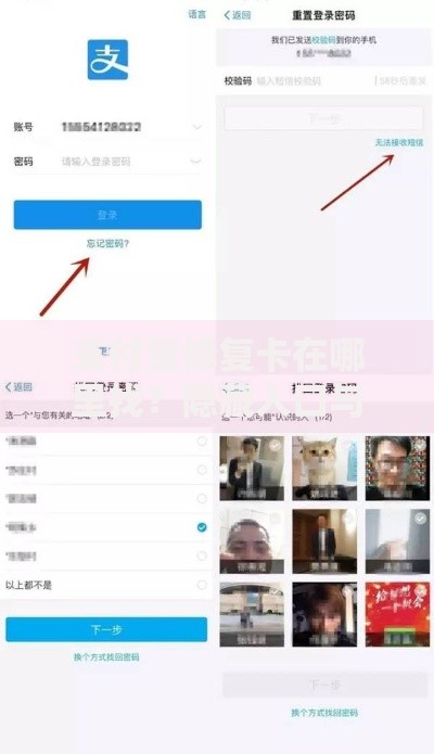 支付宝修复卡在哪里找？隐藏入口与使用技巧全解析