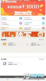 秒下小额贷款口子：低门槛快速到账攻略