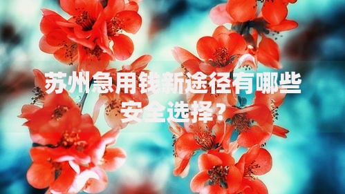 苏州急用钱新途径有哪些安全选择？