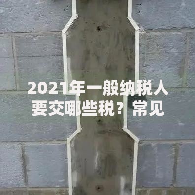 2021年一般纳税人要交哪些税？常见税种与避坑指南