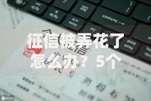 征信被弄花了怎么办？5个步骤助你快速修复