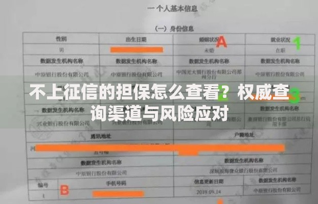 不上征信的担保怎么查看？权威查询渠道与风险应对