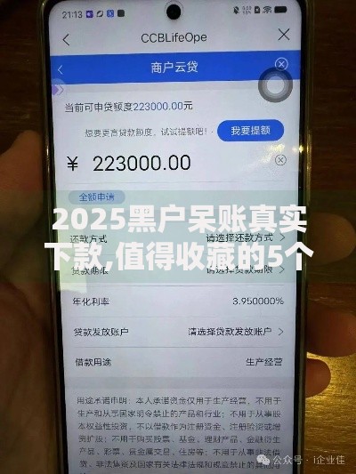 2025黑户呆账真实下款,值得收藏的5个借款软件