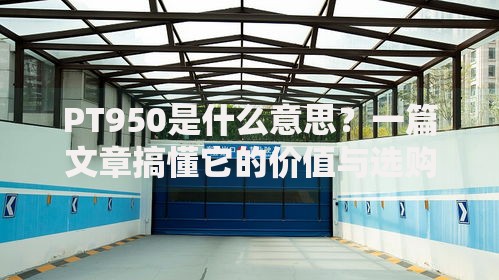 PT950是什么意思？一篇文章搞懂它的价值与选购技巧