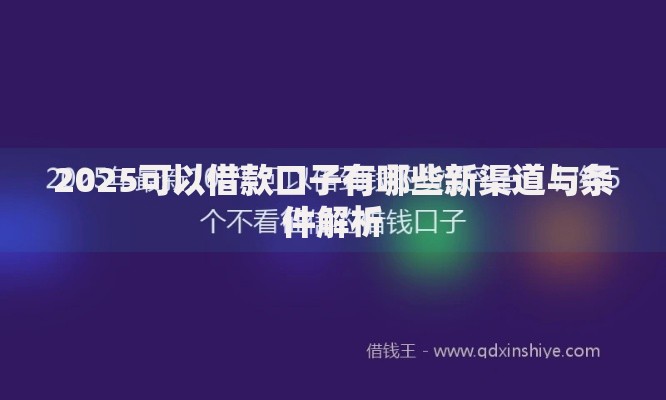 2025可以借款口子有哪些新渠道与条件解析