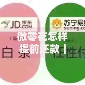 微零花怎样提前还款｜3个操作步骤+避坑指南