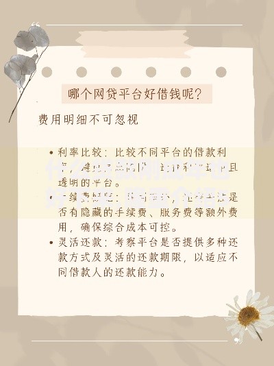什么贷款刚成年也好下来,隆重介绍5个平台可以快速借钱