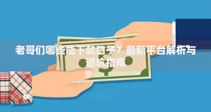 老哥们哪些能下款口子？最新平台解析与避坑指南