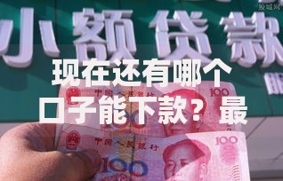 现在还有哪个口子能下款？最新正规贷款渠道深度解析