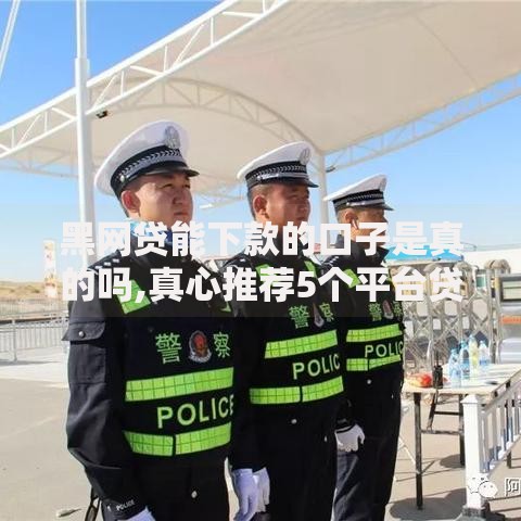 黑网贷能下款的口子是真的吗,真心推荐5个平台贷款利息最低