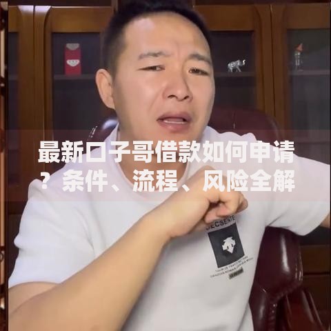 最新口子哥借款如何申请？条件、流程、风险全解析