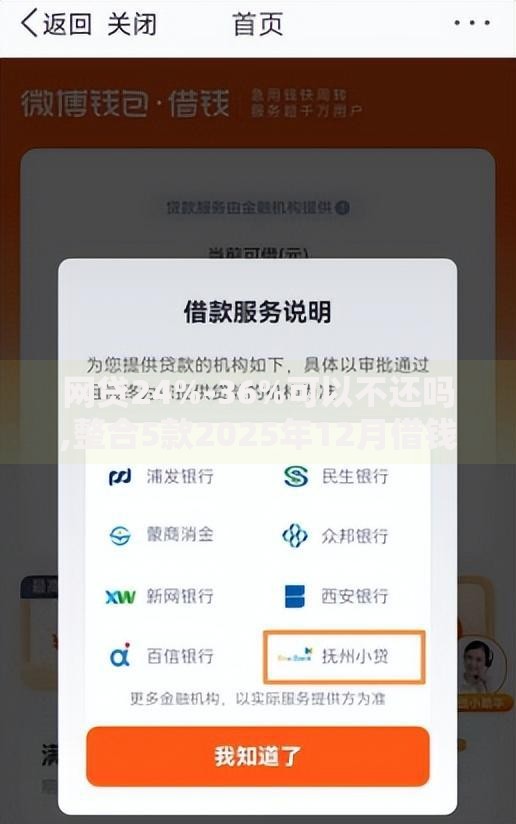 网贷24%-36%可以不还吗,整合5款2025年12月借钱口子