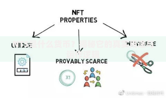 NTS是什么货币？揭秘它的真实用途与运作逻辑