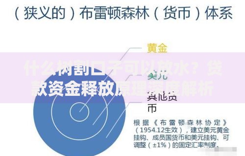 什么树割口子可以放水？贷款资金释放原理深度解析