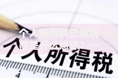 个人所得税已缴税额是什么意思？一文搞懂你的钱去哪儿了