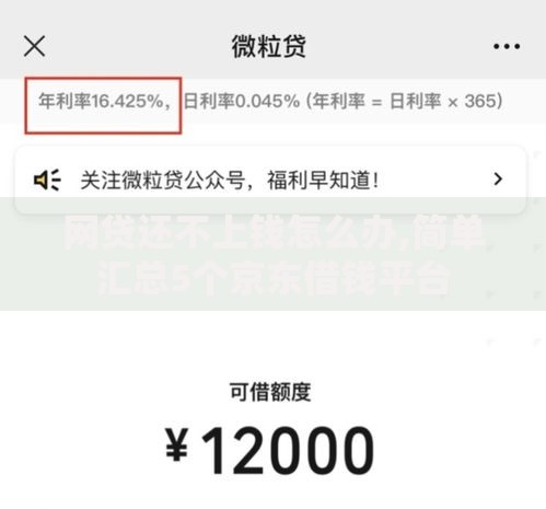 网贷还不上钱怎么办,简单汇总5个京东借钱平台